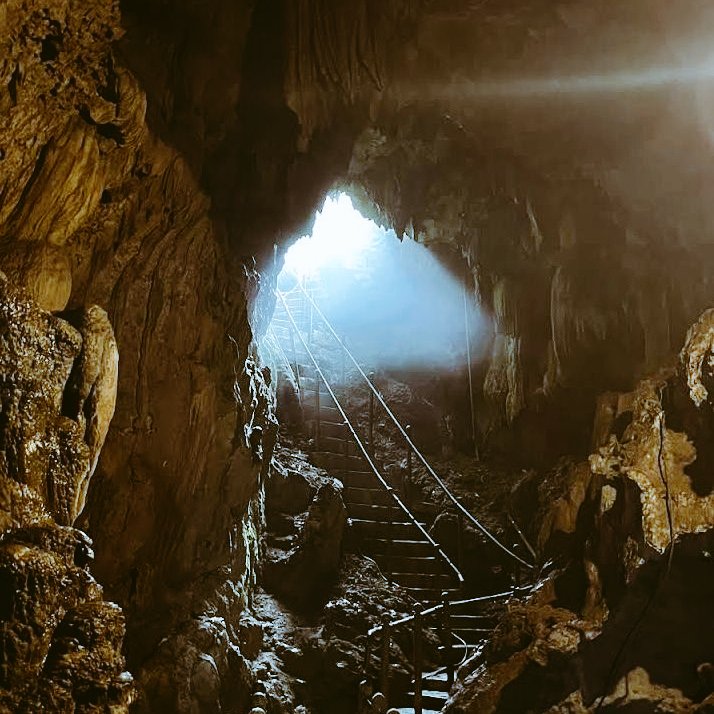 Kick Nost tweet media