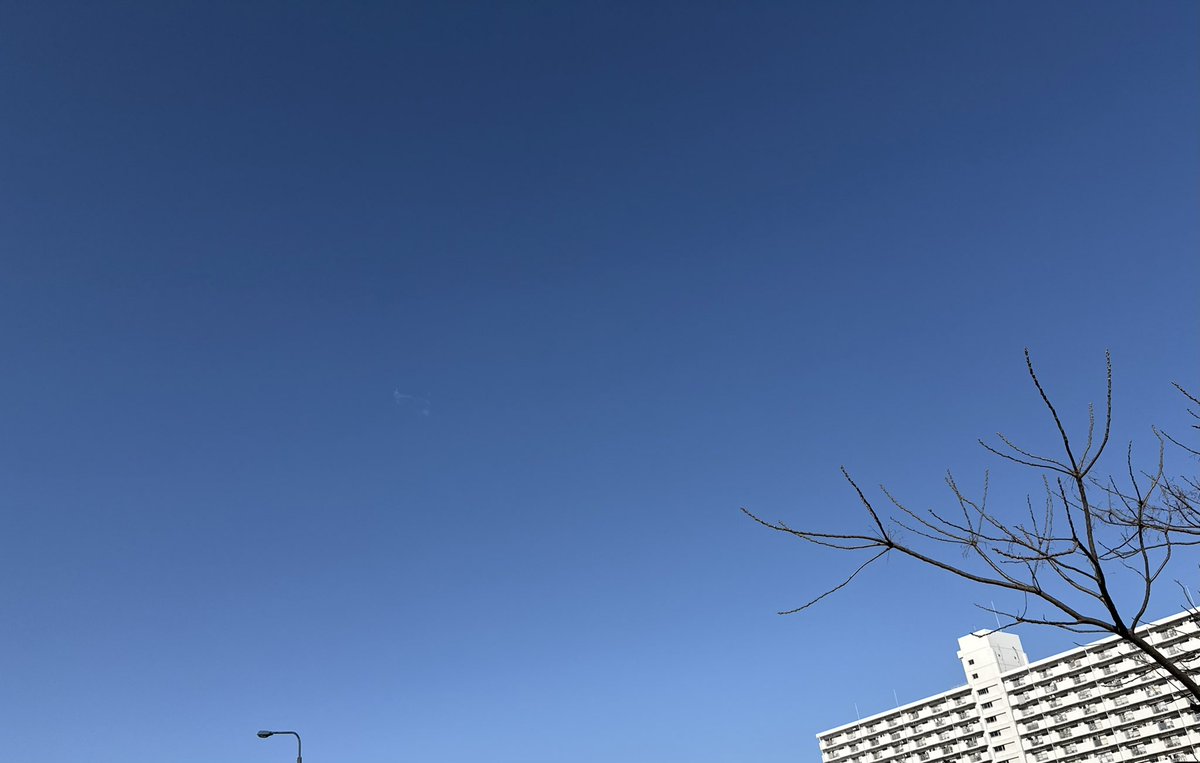朝は雲が仄暗く寒かったけど、すっかり明るくあったかくなりましたね。
脚本執筆と企画書直ししてます。
画像はいつかの空。