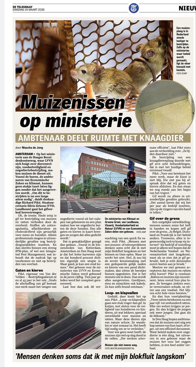 Zelden sprak een column mij zo aan.
We elektrificeren zonder stroomnet.
We offeren weidevogels op aan afplagbeleid, zonnevelden en windturbines.
De vleermuis krijgt palen, de Sámi moeten wijken.
Alles lijkt maakbaar, behalve gezond verstand. Elke keuze heeft consequenties.