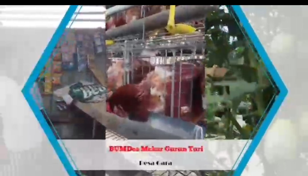 BUMDesa Desa Gara, Satarmese, Manggarai menetapkan 3 jenis Ketapang, Holtikultura, Produksi Tempe, Ayam Petelur untuk meningkatkan Pendapatan Masyarakat. 

<a href="/YandriSusanto/">Yandri Susanto</a>
<a href="/KemensetnegRI/">Sekretariat Negara</a>

#KementerianDesaPDT
#BPSDMKementerianDesaPDT
#BUMDesaDorongUsahaPetani