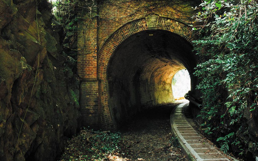 Shinji Miyazaki tweet media