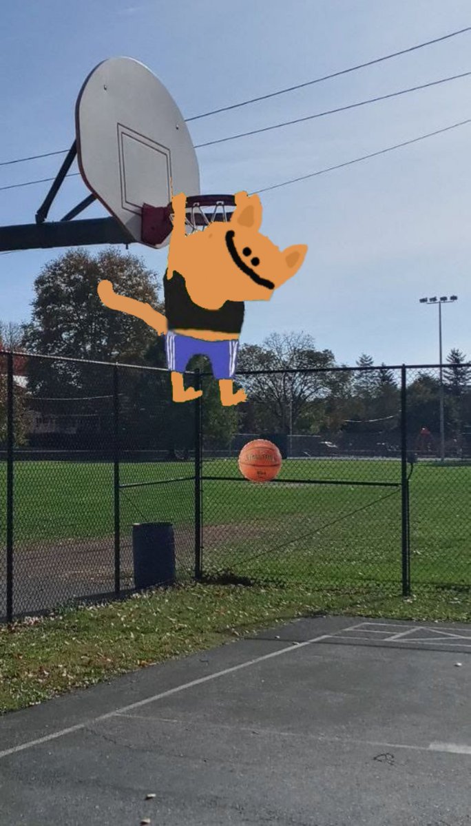 Lulipe 🧙‍♂️ tweet media