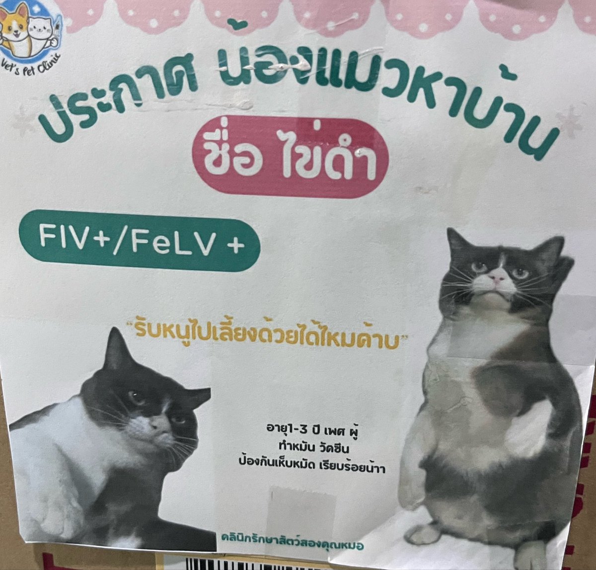 aปุ้ม tweet media