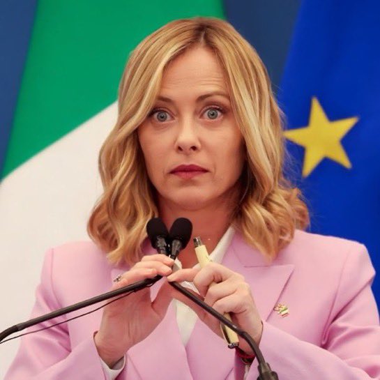 Mega-Politics tweet media