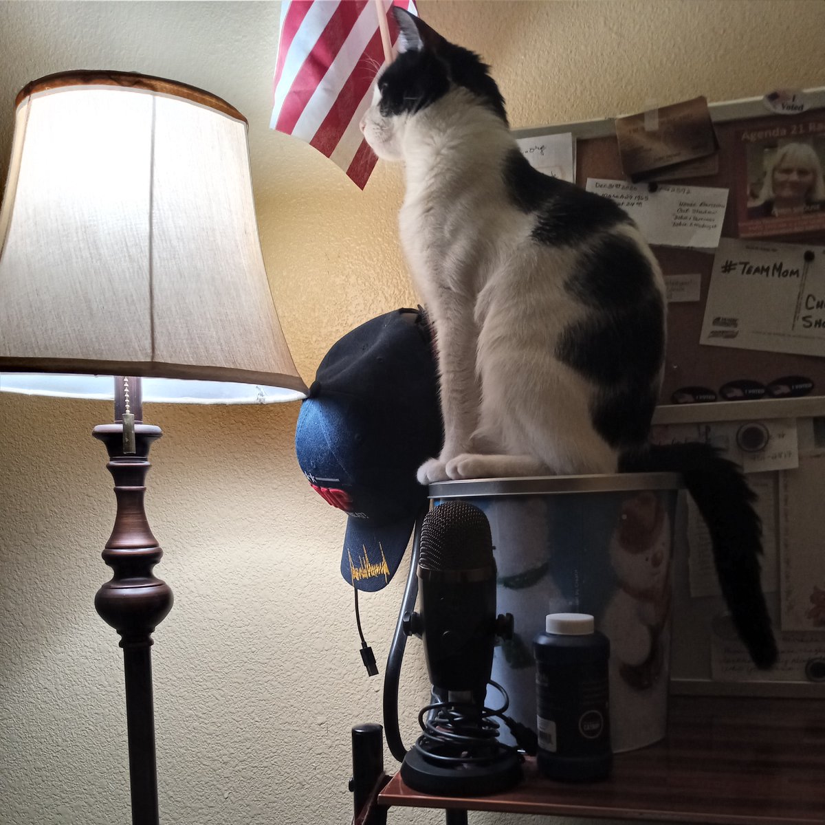 Chris Shouse 🙏🦅 tweet media