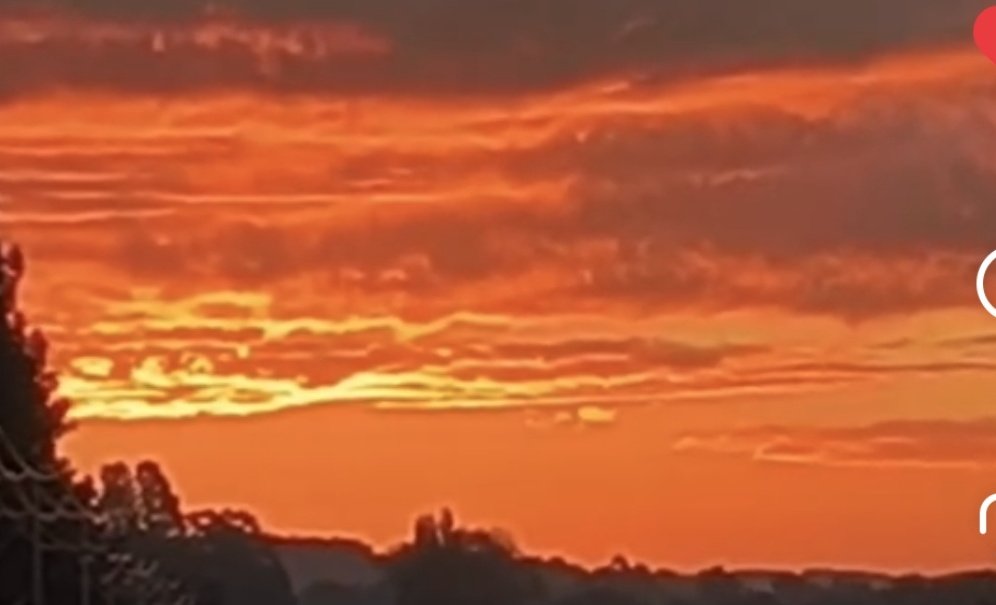 🌹Flor de Azafrán🌹 tweet media