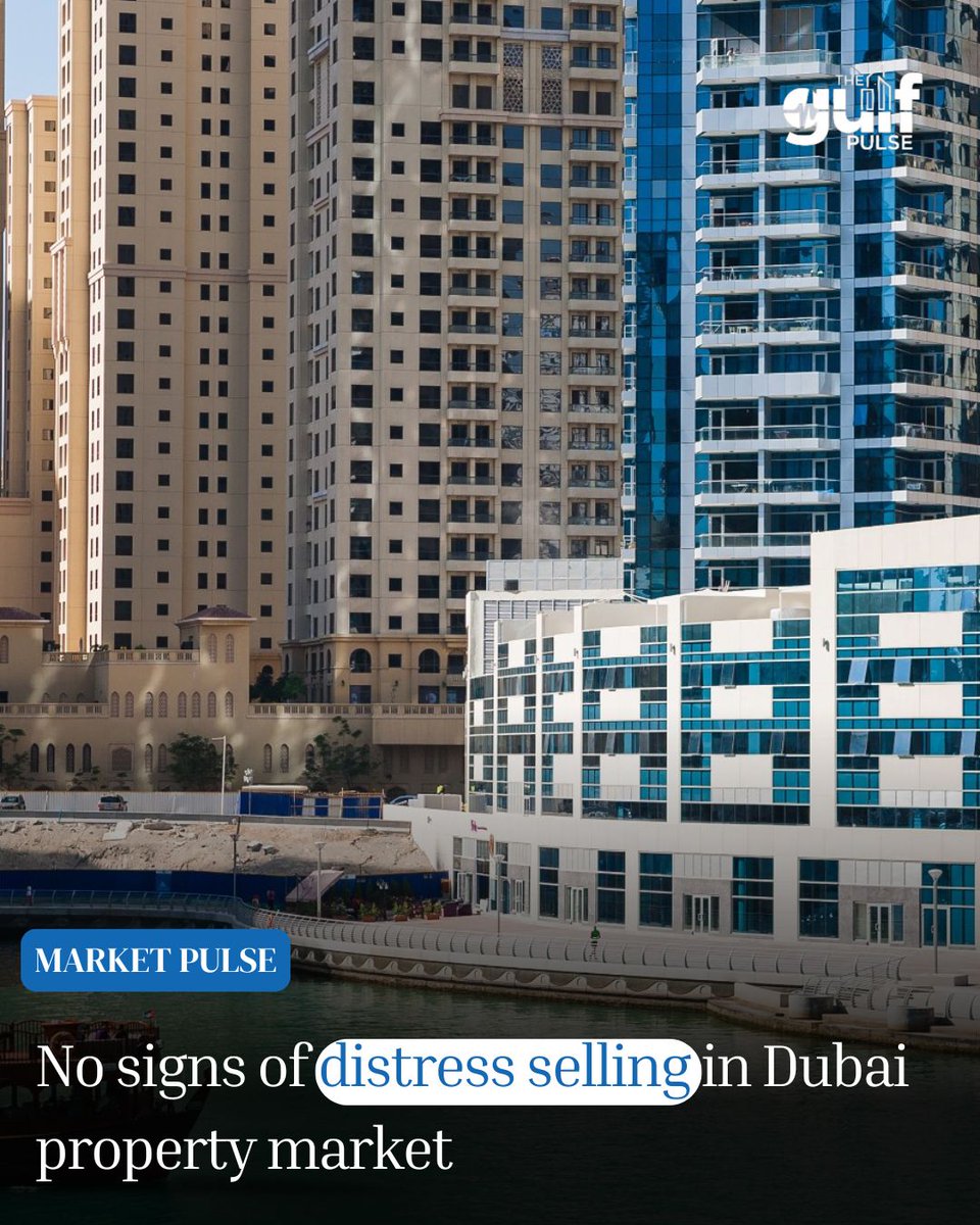 The Gulf Pulse tweet media