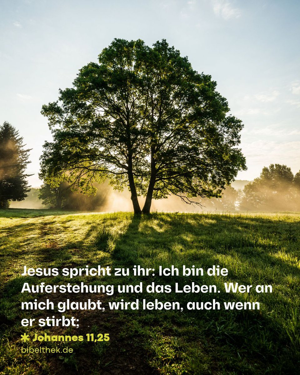 Bibel TV tweet media