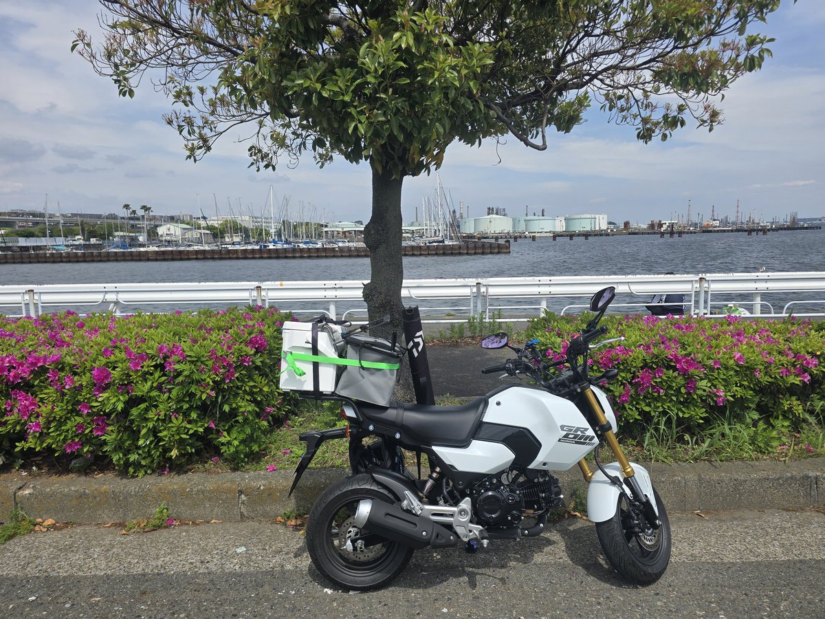 🏍️Tomo白忍千SX😆四国忍千会🏍️ tweet media