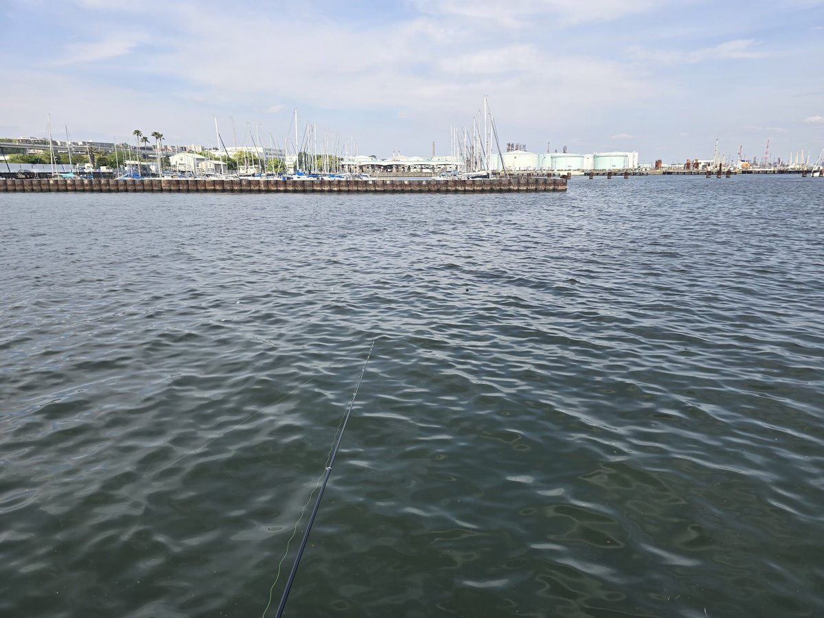 🏍️Tomo白忍千SX😆四国忍千会🏍️ tweet media