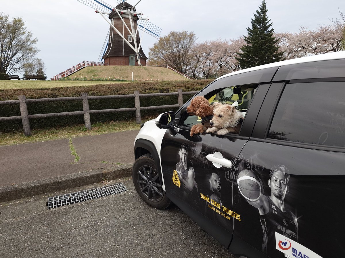 jwrAH7khtm53857's tweet photo. 今シーズン、ラッピングカーで一緒に行動できて、とっても幸せでした❤
シーズン残り4試合
CSホーム開催に向けて応援頑張ります！
#マイカーでサンダーズ応援
#群馬クレインサンダーズ
#WithDrive https://t.co/ZOkS389mRV
