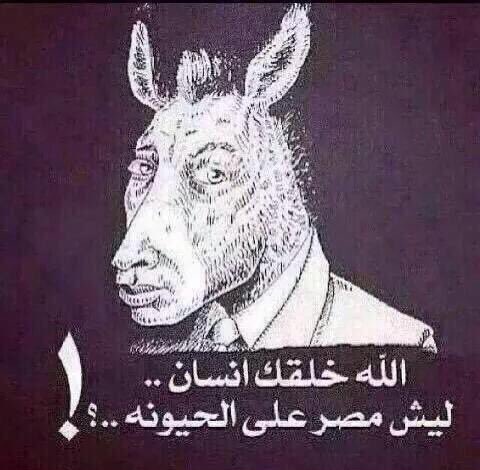 علي السلطاني🇸🇦🇰🇼 tweet media