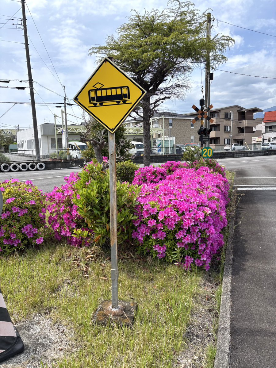 tobbyTOUBU's tweet photo. ツツジが満開です✨数ヶ所で咲いているので、コース内がとっても華やかです！

【最短日数22日】免許取得応援　春のキャンペーン💡詳細はWebサイトへ⤵⤵
https://t.co/8UmgNjvLoA

#静岡県 #沼津市 #東部自動車学校 #春キャンペーン #ツツジ https://t.co/JVwuDWjlmS