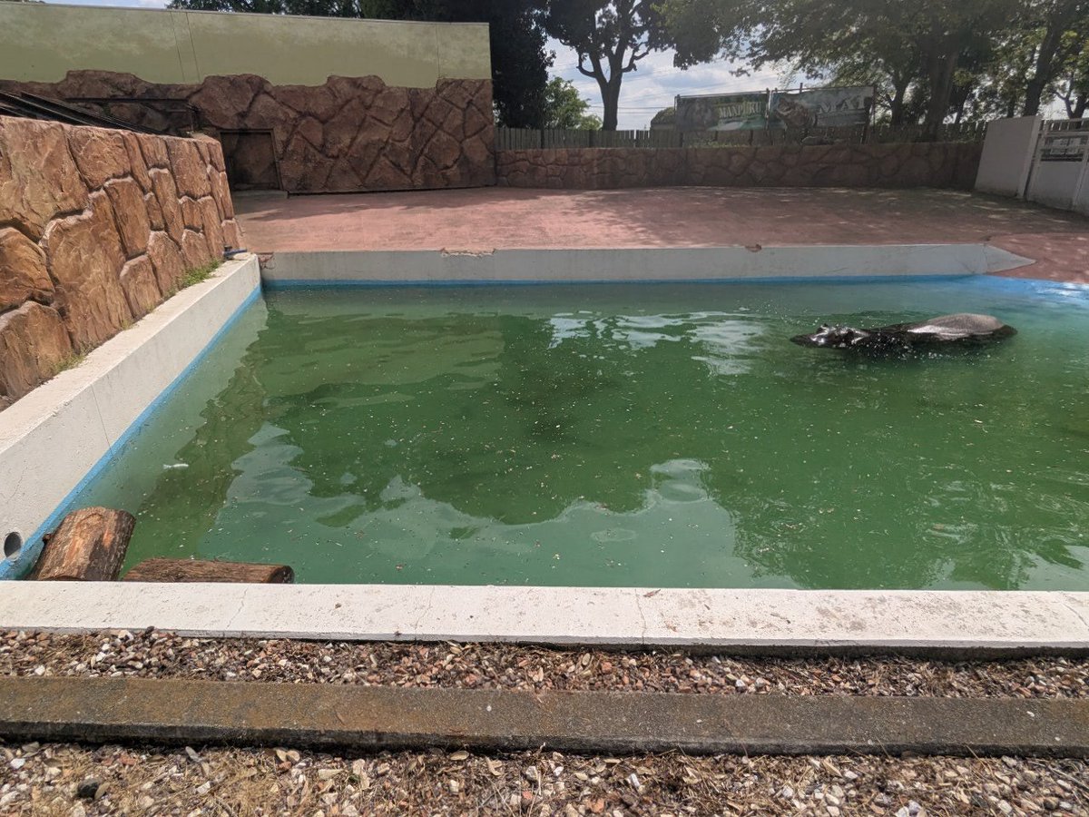 パネルの人 tweet media