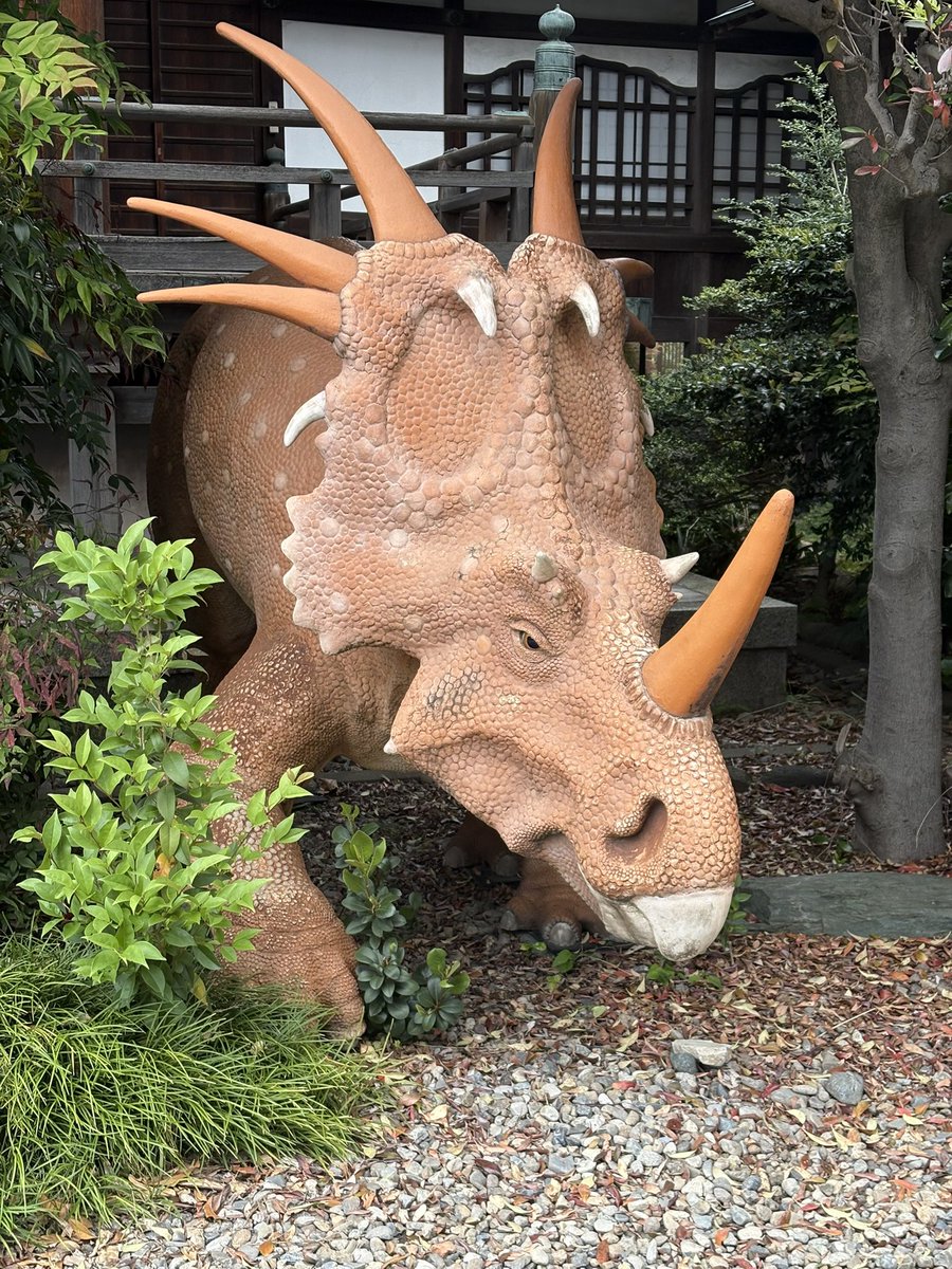 75/かわかみなおこ@mg.とBeːinG tweet media