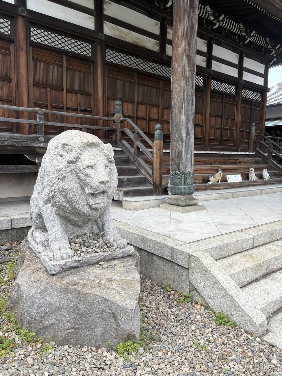 75/かわかみなおこ@mg.とBeːinG tweet media