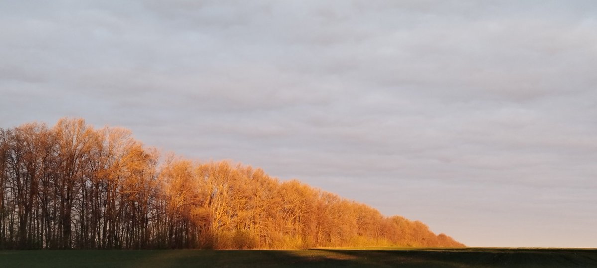Акамі tweet media