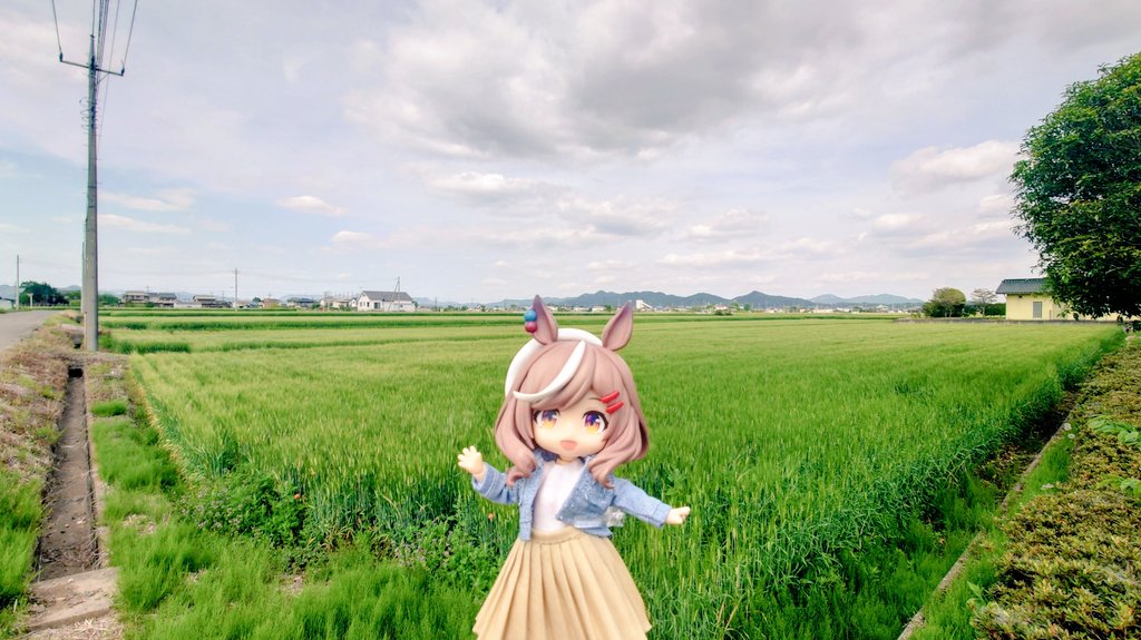 ホントにちょっとそこまでのお使いだったけど道中の農道を散歩✨
風がいい感じでした😊

#マチカネタンホイザ
#ねんどろいどどーる