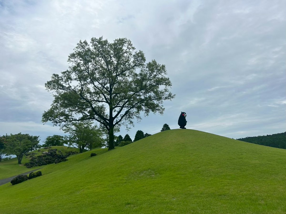 くまモン【公式】 tweet media