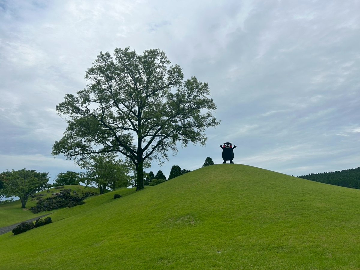 くまモン【公式】 tweet media