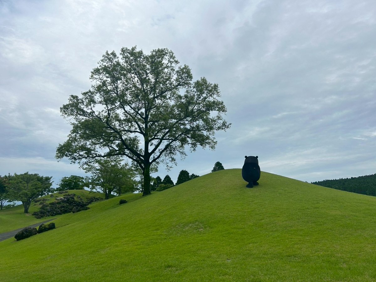 くまモン【公式】 tweet media