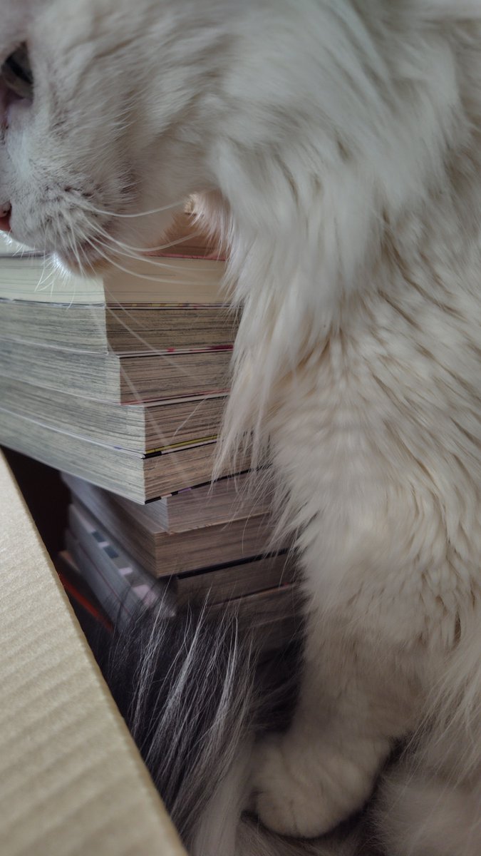 鈴樺マリン(Marin SUZUKA) tweet media