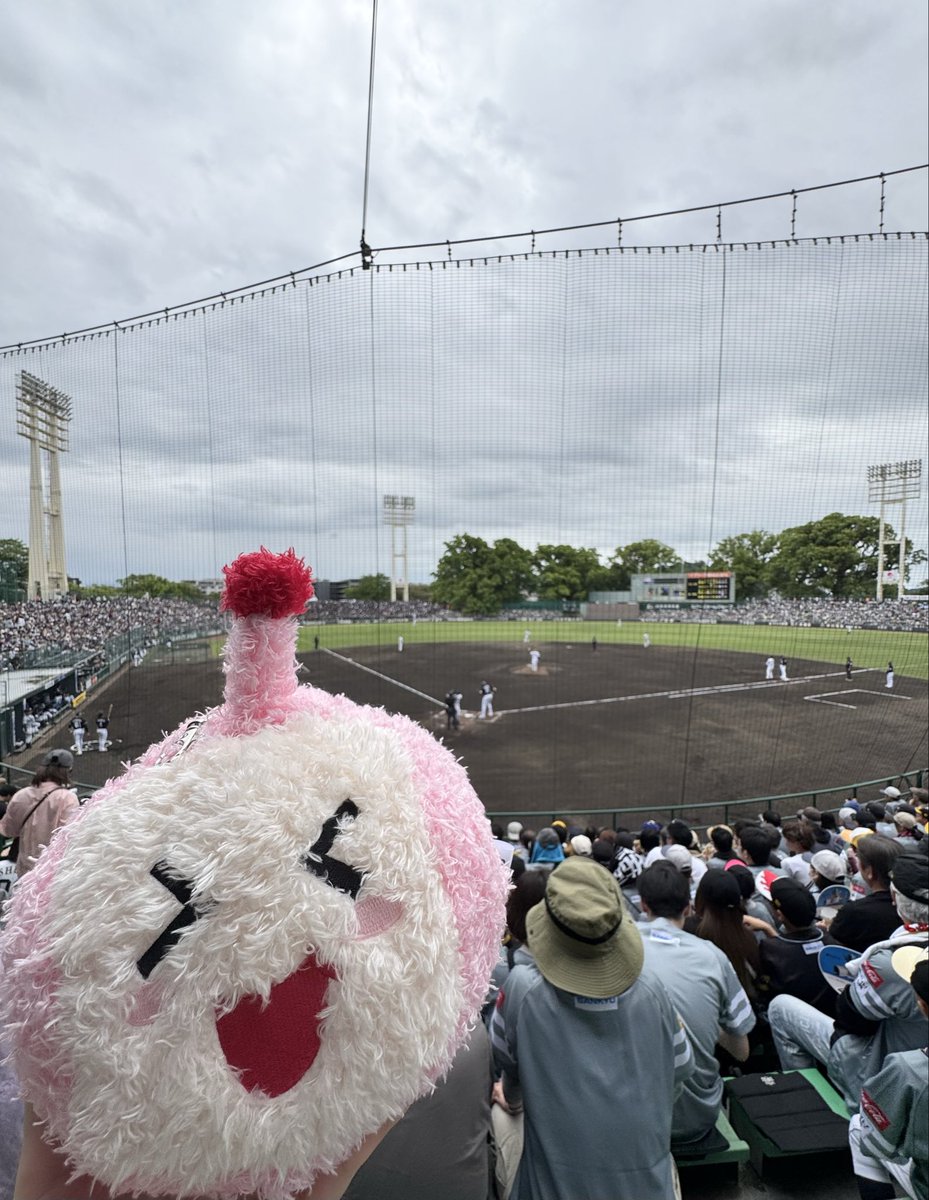 4/25（土） ホークス熊本決戦【KAB公式】 tweet media