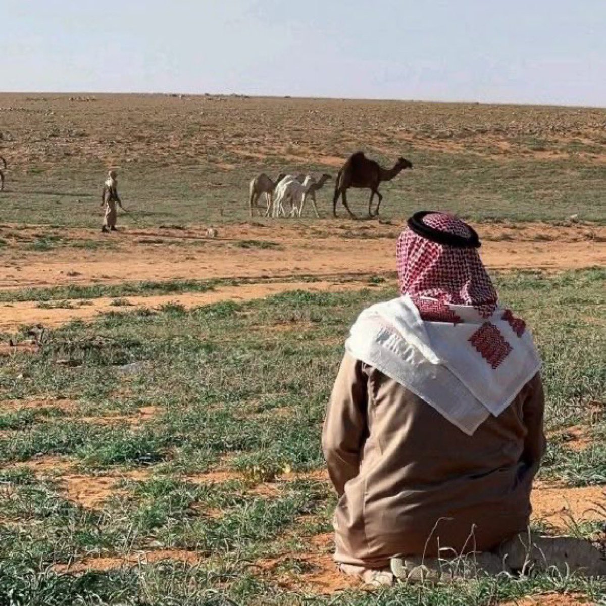 دمــث tweet media