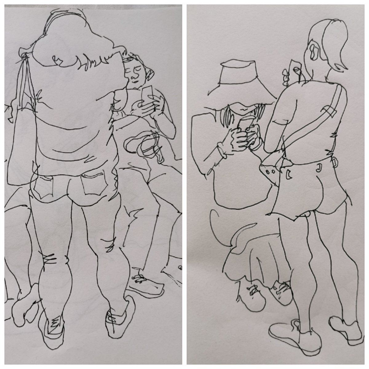 Flamant Rose tweet media