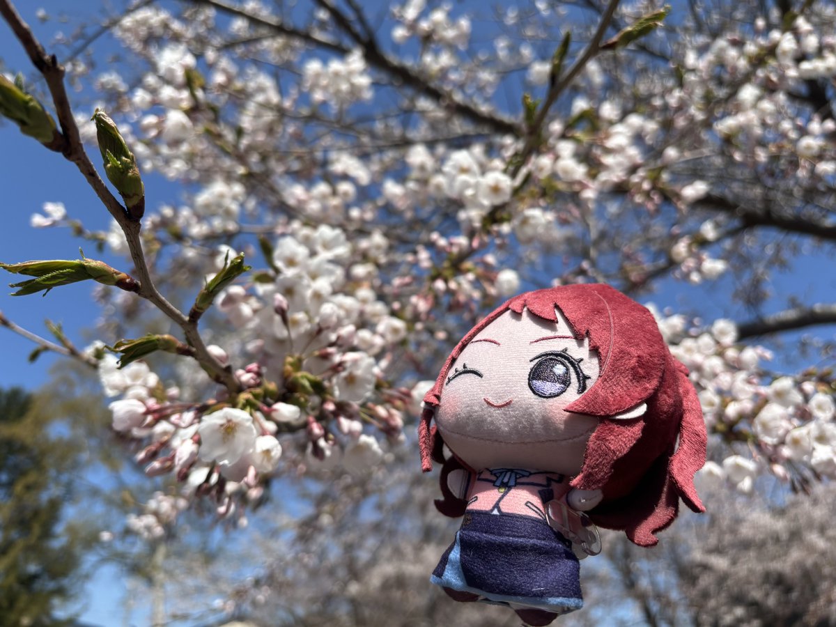 なっぴの日常垢 tweet media