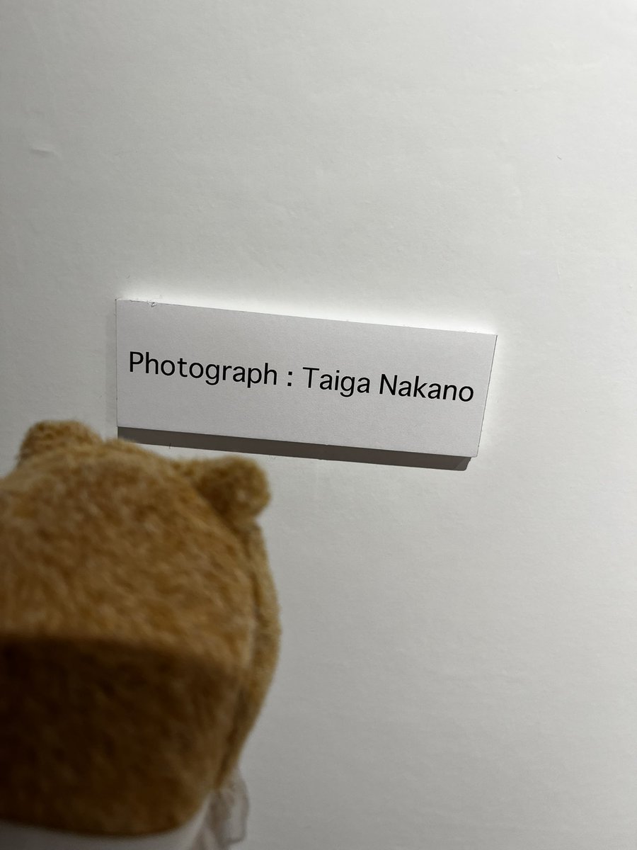 ぴほとぐらぴふ……たいがなかの……とリーディングするぽぽえみくん