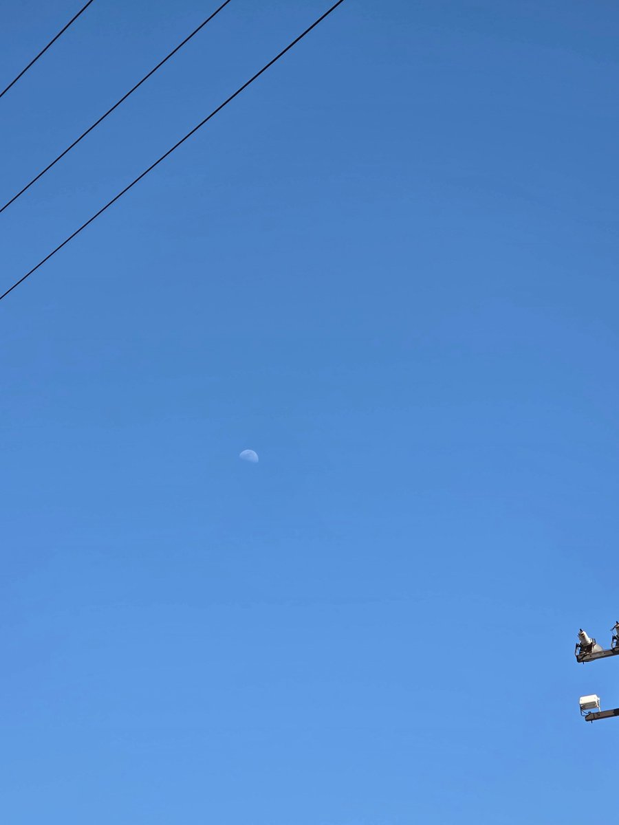 ごみまる🔰 tweet media