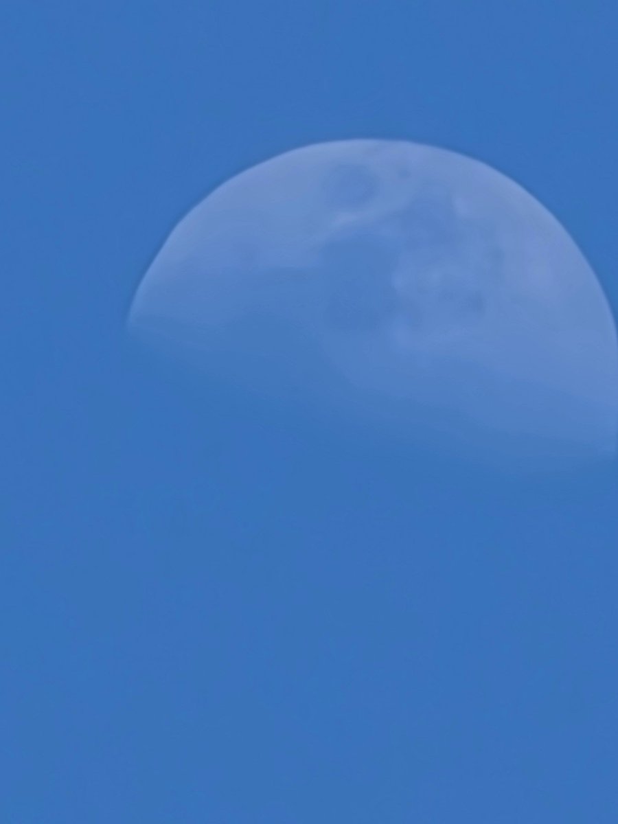 ごみまる🔰 tweet media