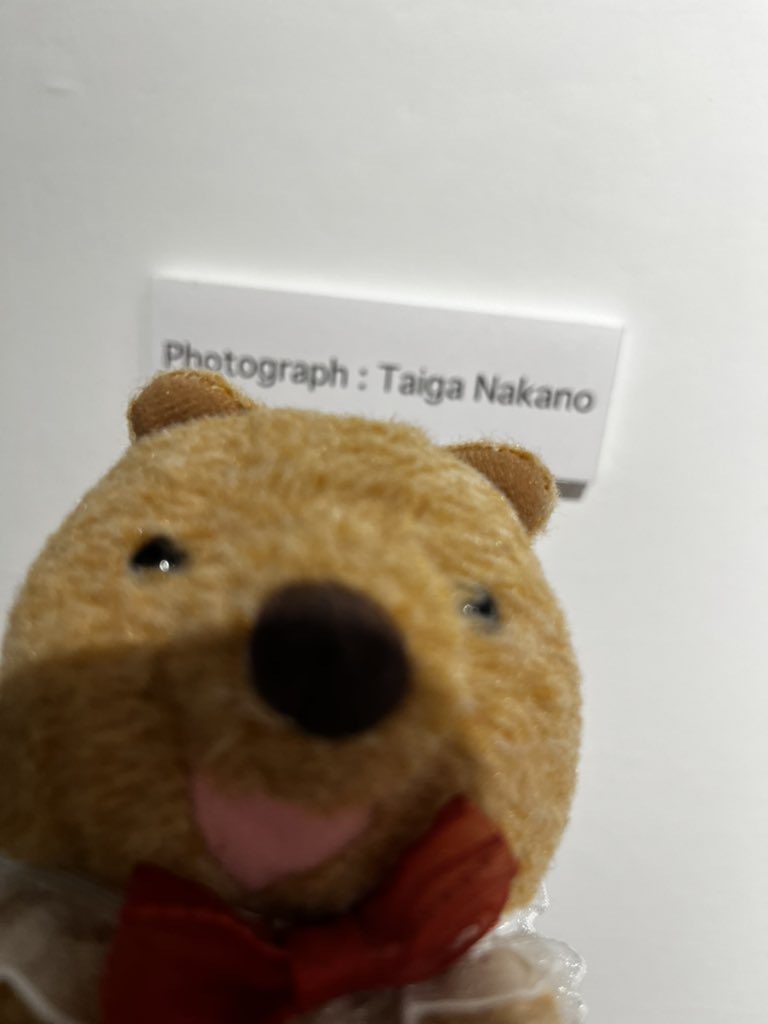 よめた！ものの照明が味方をしてくれなかったぽぽえみくん