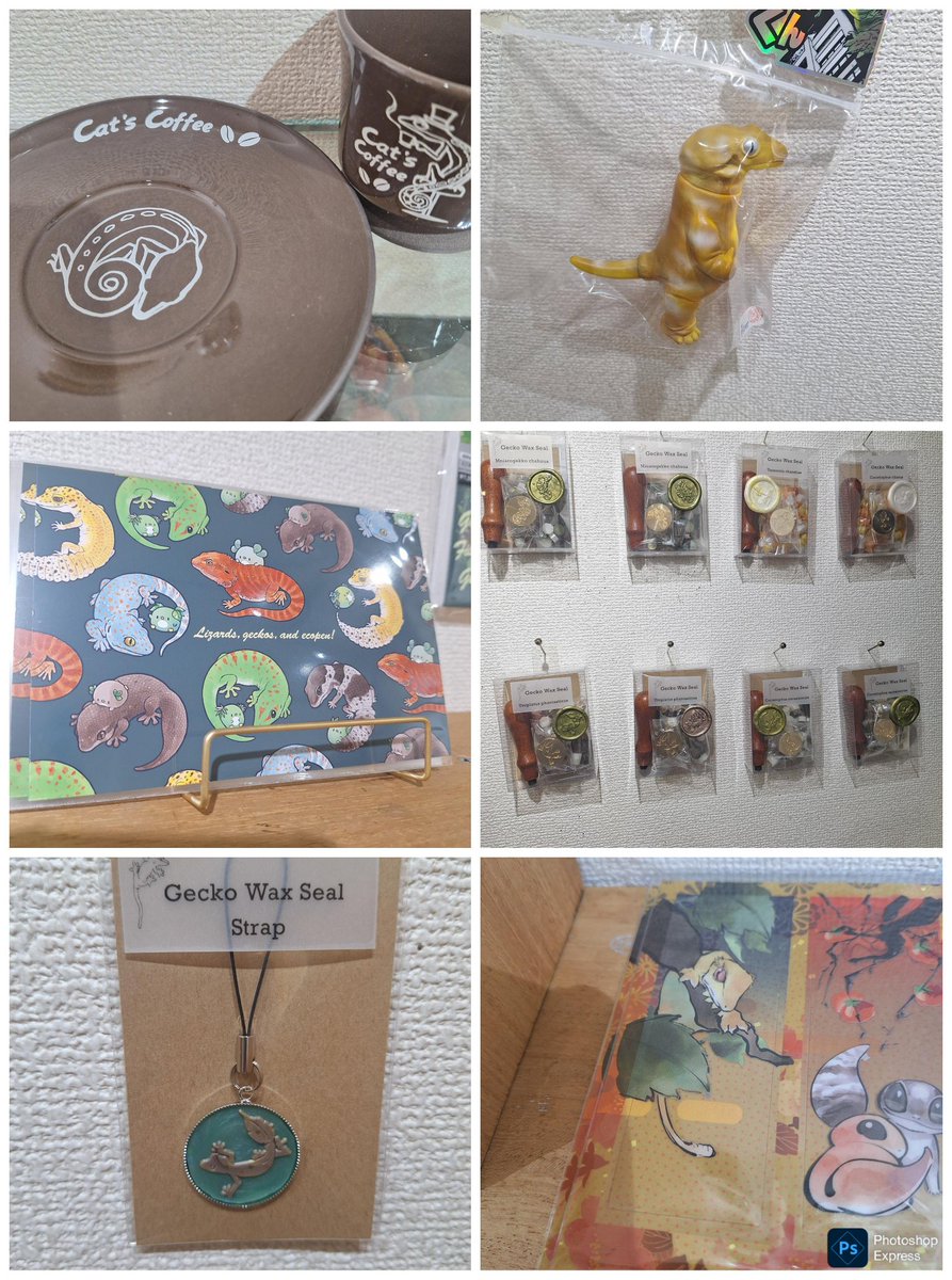 ヤモリ🦎#鱗の小路 ※画像のモノが全てではありません