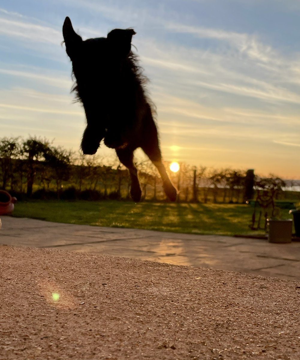 Adele and Rex (former staff to Monty🌈& Jilly🌈) tweet media