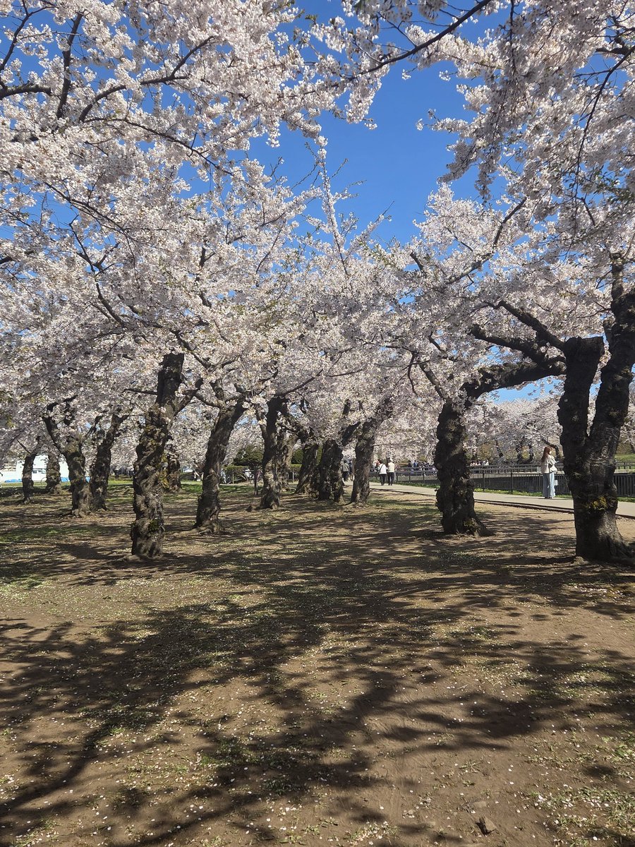 yuan^mーユアンー tweet media