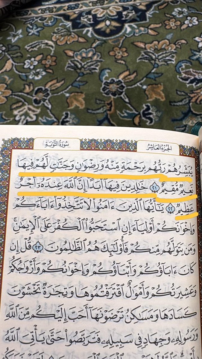 ام رُبا tweet media