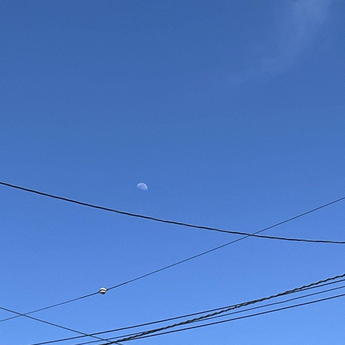 g.m👾🕷 tweet media