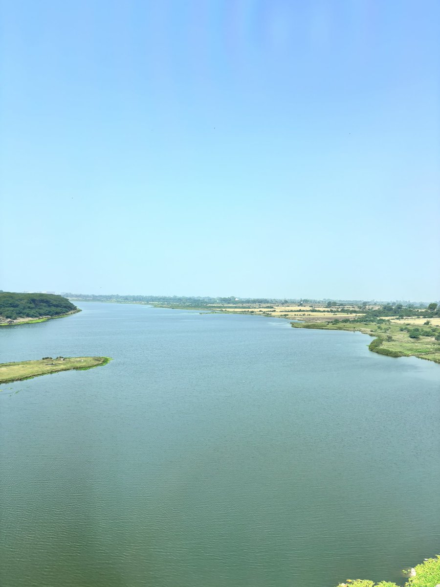 A view of Chambal in summers , full of water and relatively clean.
So relaxing. Chambal is adobe to many aquatic species such as crocodiles and water birds and fishes 🐟 🦅  🐊 .
