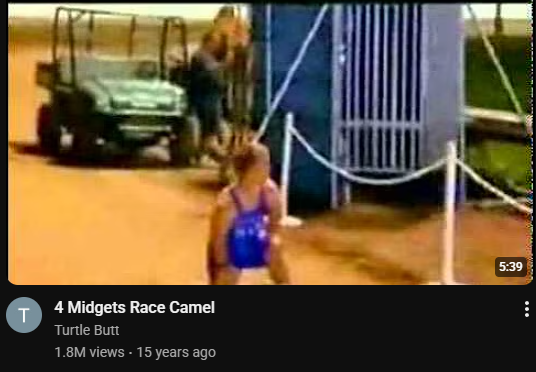 🐈‍⬛ tweet media