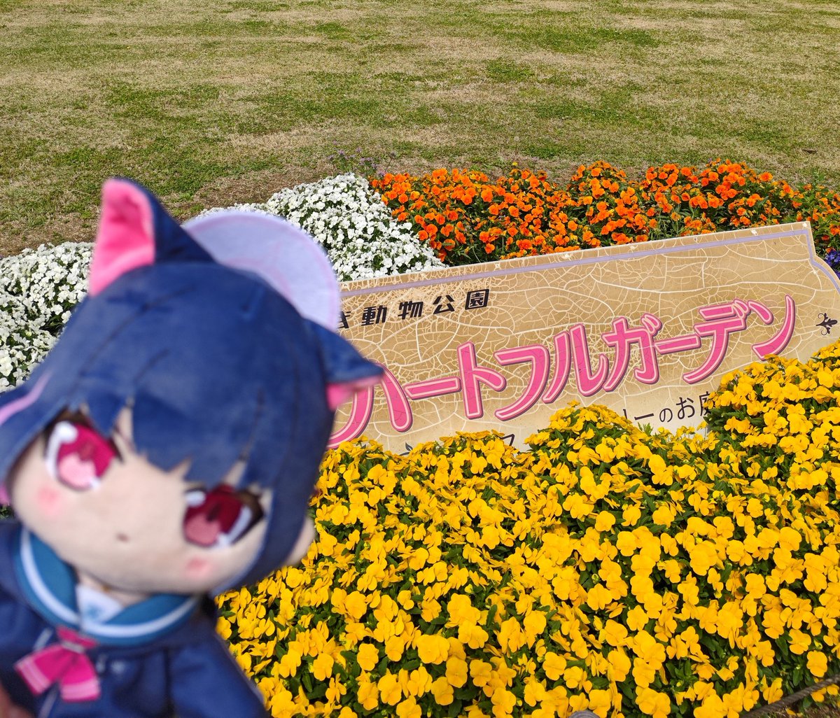 mlQhigfjth70464's tweet photo. #ブルアカぬいぬい部
#東武動物公園 https://t.co/TjtYaPQ1DK