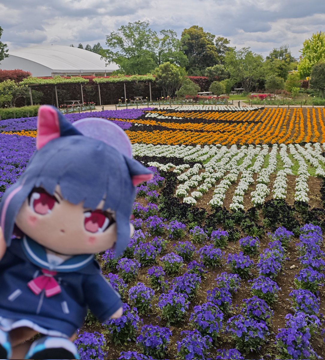 mlQhigfjth70464's tweet photo. #ブルアカぬいぬい部
#東武動物公園 https://t.co/TjtYaPQ1DK