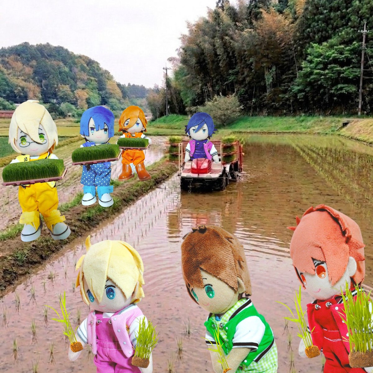 光希(こうき) tweet media