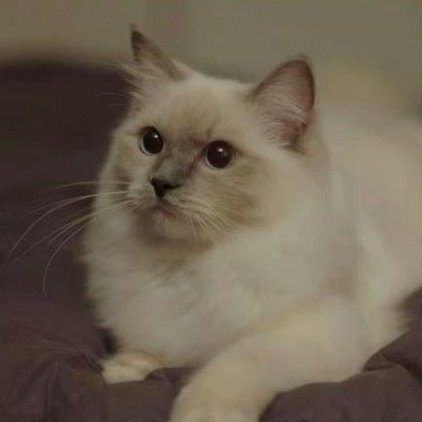 molenkucing's tweet photo. My fav scene di #becausethisismyfirstlife ๐
Se Hee cwk cool ini humoris tapi tidak humoris. Ah ngerti ga sih๐คฃ๐คฃ
Best K-drama everrrrr https://t.co/LfPK8ThXNs