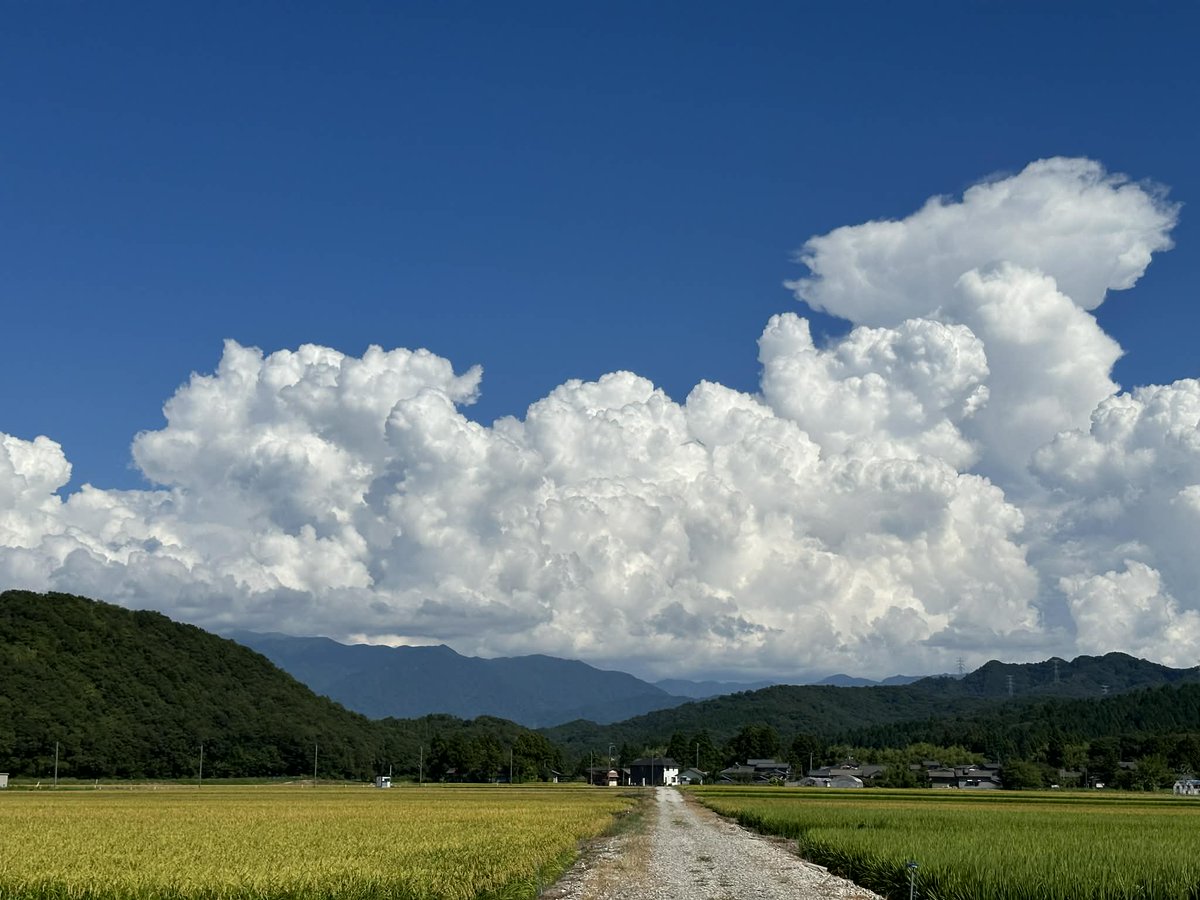 ２３レコーズ 田渕公明／KIMIAKI TABUCHI Official tweet media