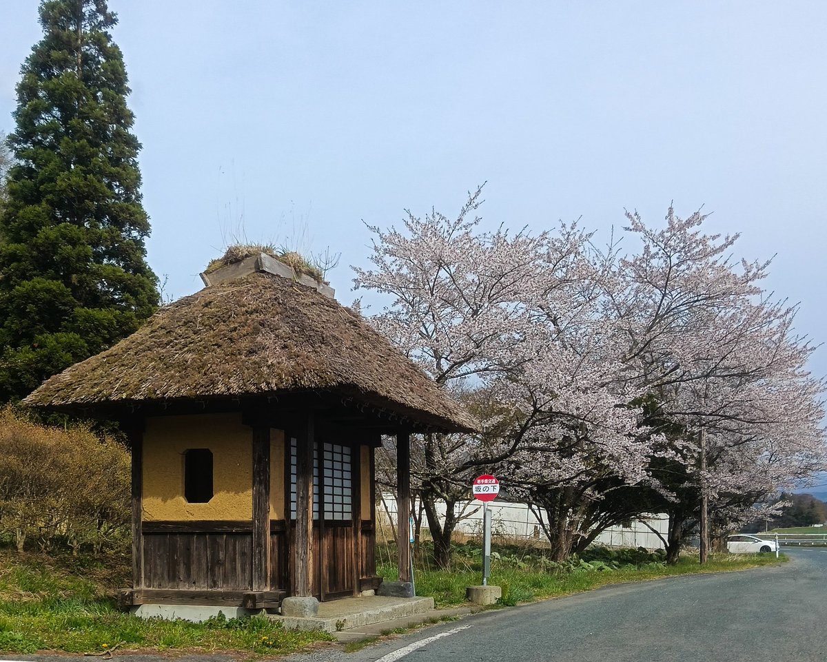 渡部真 tweet media