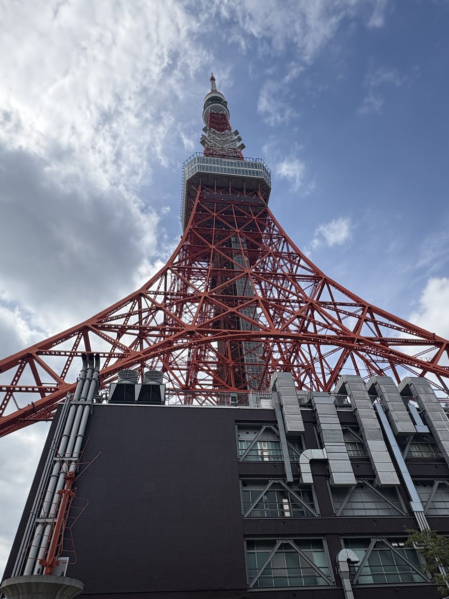 ベリツヨス tweet media