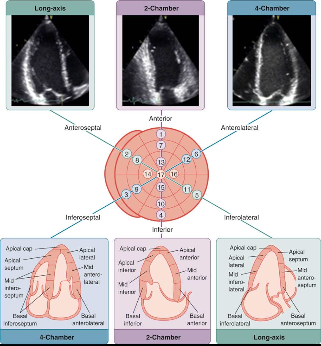 CardiovascularCorner tweet media