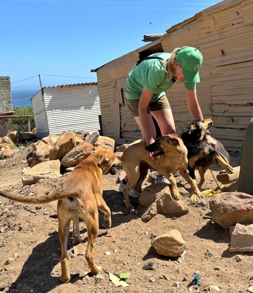 Laurika 🌻🐕🌊 tweet media